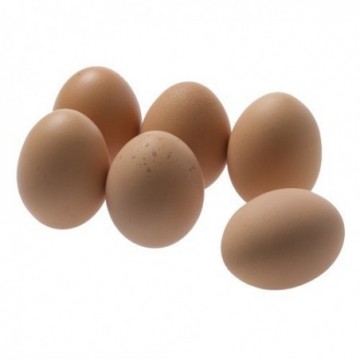 Huevos ecológicos cal. L 6x de Cal Bergé - Ecoalimentaria