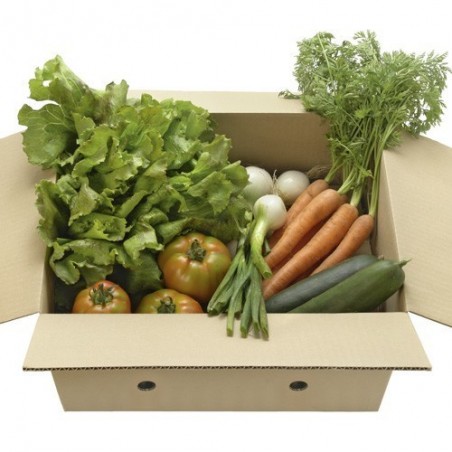 Cesta Ensalada ecológica - Ecoalimentaria