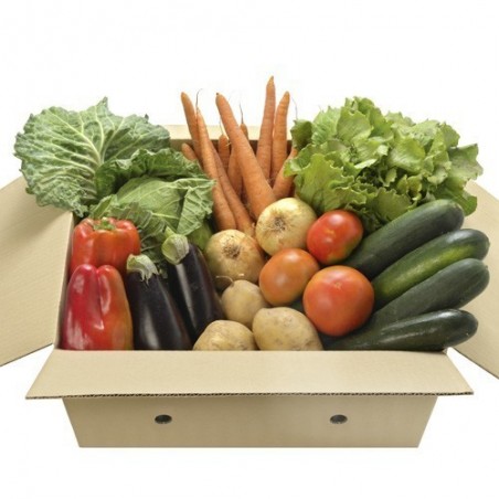 Cesta Verdura ecológica - Ecoalimentaria