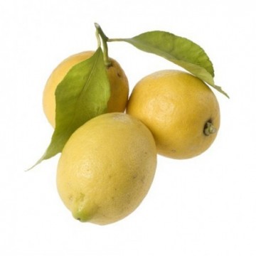 Limón ecológico - Ecoalimentaria