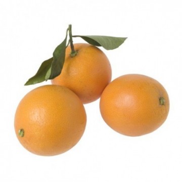 Taronja ecològica - Ecoalimentaria
