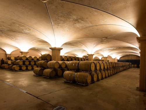 Crecimiento del sector ecológico en vinos. Bodegas de Albet i Noya, pioneros en vinos y cavas ecológicos.