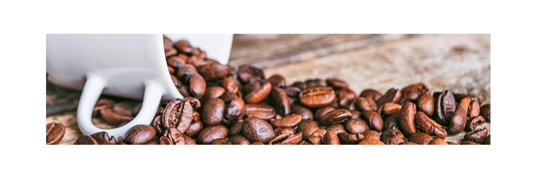Cafè i xocolata ecològics online