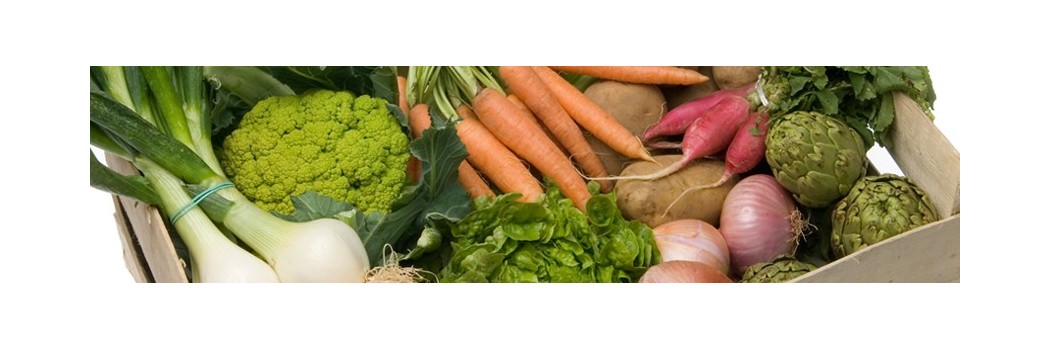 Comprar verdura ecològica de temporada i proximitat - Ecoalimentaria